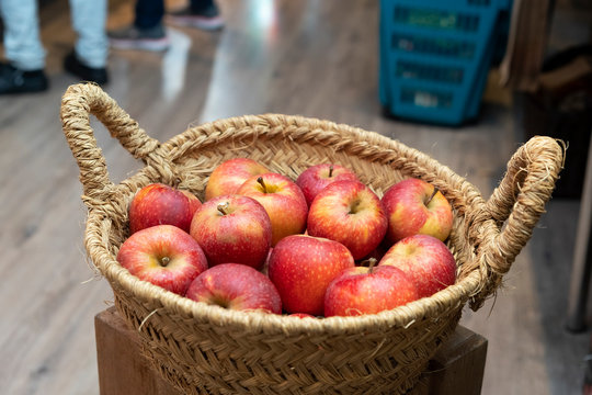 manzanas reci&eacute;n cogidas del &aacute;rbol a la fruter&iacute;a