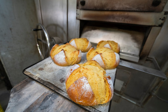 Chusco 이미지 찾아보기 35 스톡 사진, 벡터 및 비디오 Adobe Stock