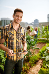 Friendly team harvesting fresh vegetables from the rooftop green