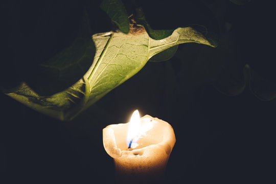 Solitary candle burns in summer garden at night