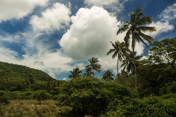Fototapeta na wymiar Carriacou Grenada