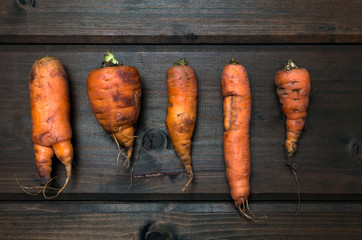 ugly carrots lined up on brown wooden table. top view flat lay.