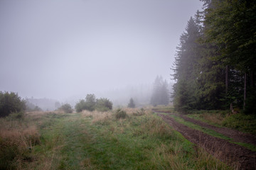 Misty autumn in the mountains