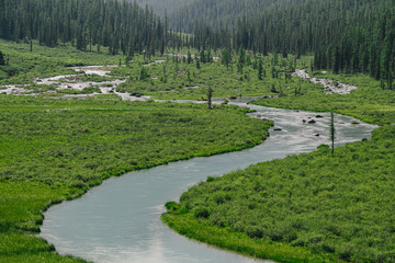 Bend, a ribbon of river in mountain valley on a summer day.