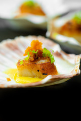 Scallop