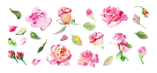 Papier Peint photo Des roses Roses, un ensemble d& 39 éléments végétaux pour la créativité. Illustration à l& 39 aquarelle.