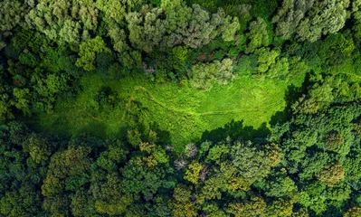 Foto op Plexiglas luchtfoto boszicht met weide © Alex