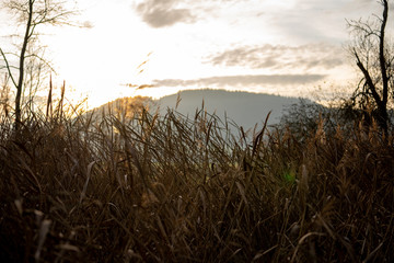 Fototapeta premium Herbst in Baden-Württemberg