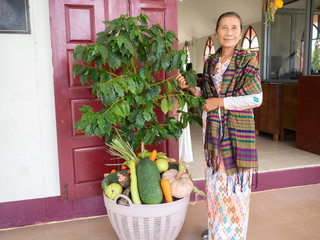 Old woman with Many Vegetables, fruits, flowers are Decorated for Happy Thanksgiving Day