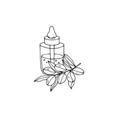 Argan oil outline vector illustration. Hand drawn bottle with organic products.