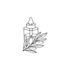 Outline hand drawn organic oil. The bottle with olive. Sketch vector illustration.