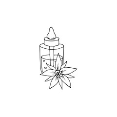 Hand drawn outline bottle with borago organic oil. Sketch vector illustration.