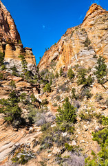 Landscape of Zion National Park along Pine Creek