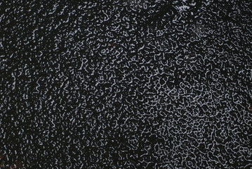 Decorative Background With An Abstract Embossed Pattern. Black And White Col