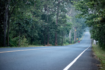 Forests on both sides of the asphalt road 