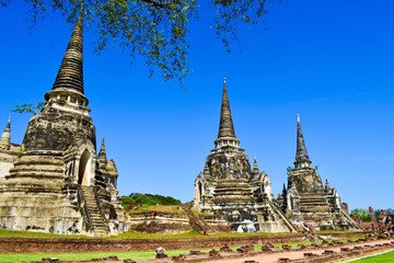 Fototapeta premium Temples and ancient city ruins in the Ayutthaya Ancient City, Thailand