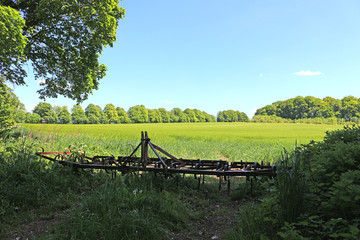 A green field with a plough in the foreground