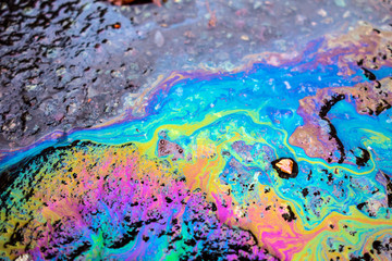Oil Petrol Pollution Rainbow Gasoline Leak on Pavement