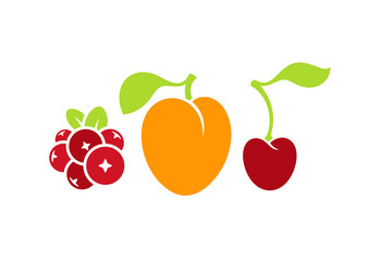 Fresh fruit. Isolated cherry cranberry and yellow plum. Healthy food 