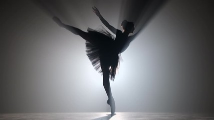 Professional ballerina dancing ballet in spotlights smoke on big stage. Beautiful young girl wearing black tutu dress on floodlights background. Black and white. 4k - Powered by Adobe