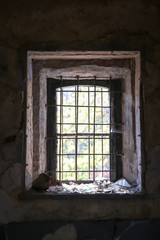 Fototapeta na wymiar Das Fenster eines ehemaligen Gefängnis, Arrestzelle einer Sowjetischen Garnison