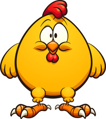 Fototapeta Fat yellow cartoon chicken standing and facing front clip art. Vector illustration with simple gradients. Some elements on separate layers.  obraz