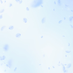 Light blue flower petals falling down. Amusing rom