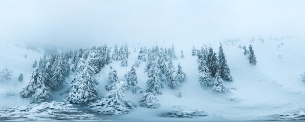 Fototapeta na wymiar Spherical aerial snow-covered panorama of spruce trees