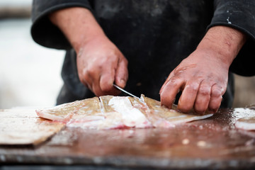 Fishermen at fish market, Essaouira, Morocco 