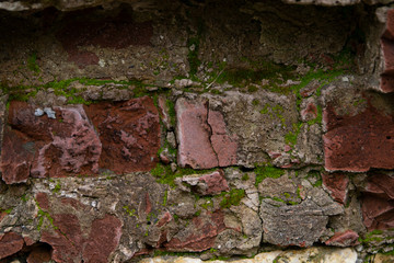 old brick wall, red, moss, close, background, city
