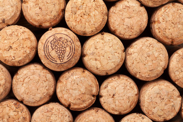 Champagne wine corks texture