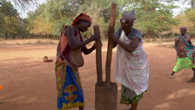 Five woman pounding and grinding sorghum using an old traditional method, Mahenye Village, Zimbabwe