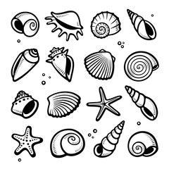 Seashells set. Collection seashells icons. Vector