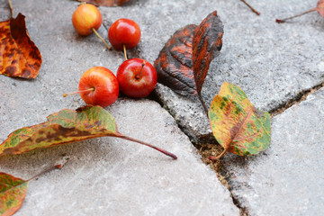Red crab apple fruits among fallen autumn leaves