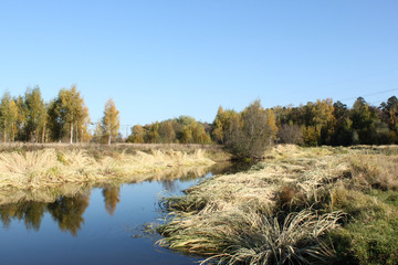 autumn river grass trees landscape