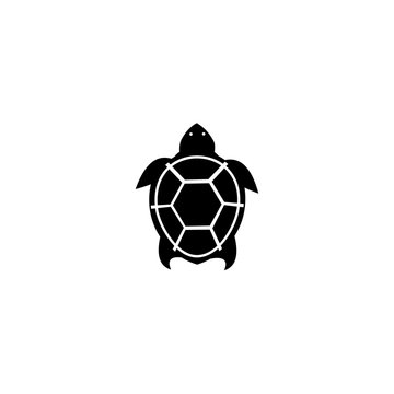 Turtle icon, Sea turtle vector illustration, Logo for buttons, websites, mobile apps and other design needs, Vector image of contour label 