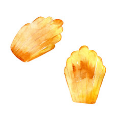 Watercolor french madeleine isolated on white.