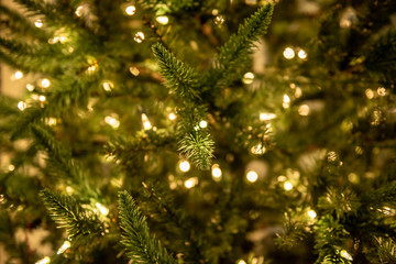 Christmas Trees with Warm White Lights and Ornaments 