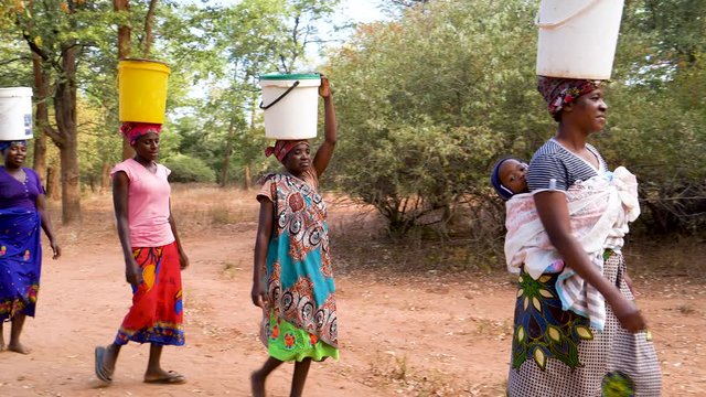 Water journey. Five woman and a baby make the long journey home carry water in plastic containers on their heads after pumping it from a communal water pump, Zimbabwe