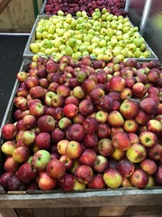 large bins off apples at the market