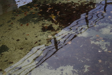 Reflections on the water