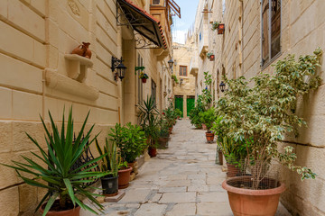 Narrow charming street in Birgu, Malta, with limestone medieval buildings and potted plants along the walls.
