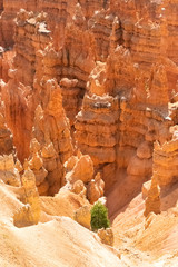 Bryce Canyon National Park, Utah, USA