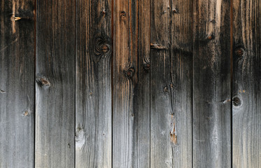 Fototapeta premium dark pine wood texture background