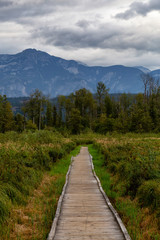 Fototapeta na wymiar Wooden walking path on One Mile Lake with green vibrant plants and leafs. Picture taken in Pemberton, British Columbia (BC), Canada, on a cloudy summer day.