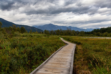 Wooden walking path on One Mile Lake with green vibrant plants and leafs. Picture taken in Pemberton, British Columbia (BC), Canada, on a cloudy summer day.