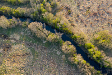 Forest in spring colors. Green deciduous trees and meandering blue river in sunset. Rabivere bog, Estonia, Europe