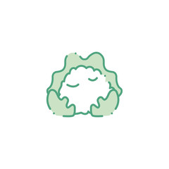 vegetable cauliflower fill style icon