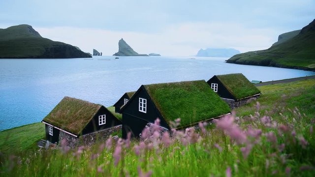 Picturesque view of tradicional faroese grass-covered houses in the village Bour during summer. Vagar island, Faroe Islands, Denmark. UHD 4k video