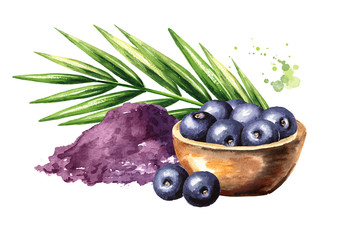 Acai powder with fresh acai berries and palm branch. Watercolor hand drawn illustration isolated on white background